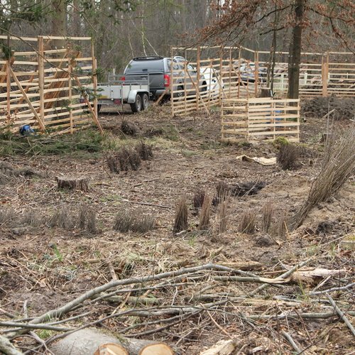 Zu sehen sind Helfer und Mitarbeiter der Erdgas Südwest beim Pflanzen eines Baumes