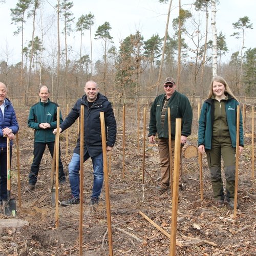 Zu sehen ist ein Gruppenbild einer Aufforstungsaktion unter Beteiligung der Erdgas Südwest. Zu sehen sind unter anderem der Geschäftsführer der Erdgas Südwest Hans-Joachim Seigel mit dem Bürgermeister der Gemeinde Graben-Neudorf