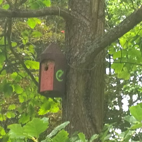 Ein an einem Baum befestigter Nistkasten der Erdgas Südwest.