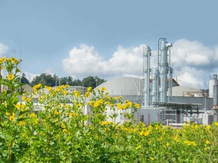 Man sieht eine Biogas-Anlage hinter einem Blumenfeld
