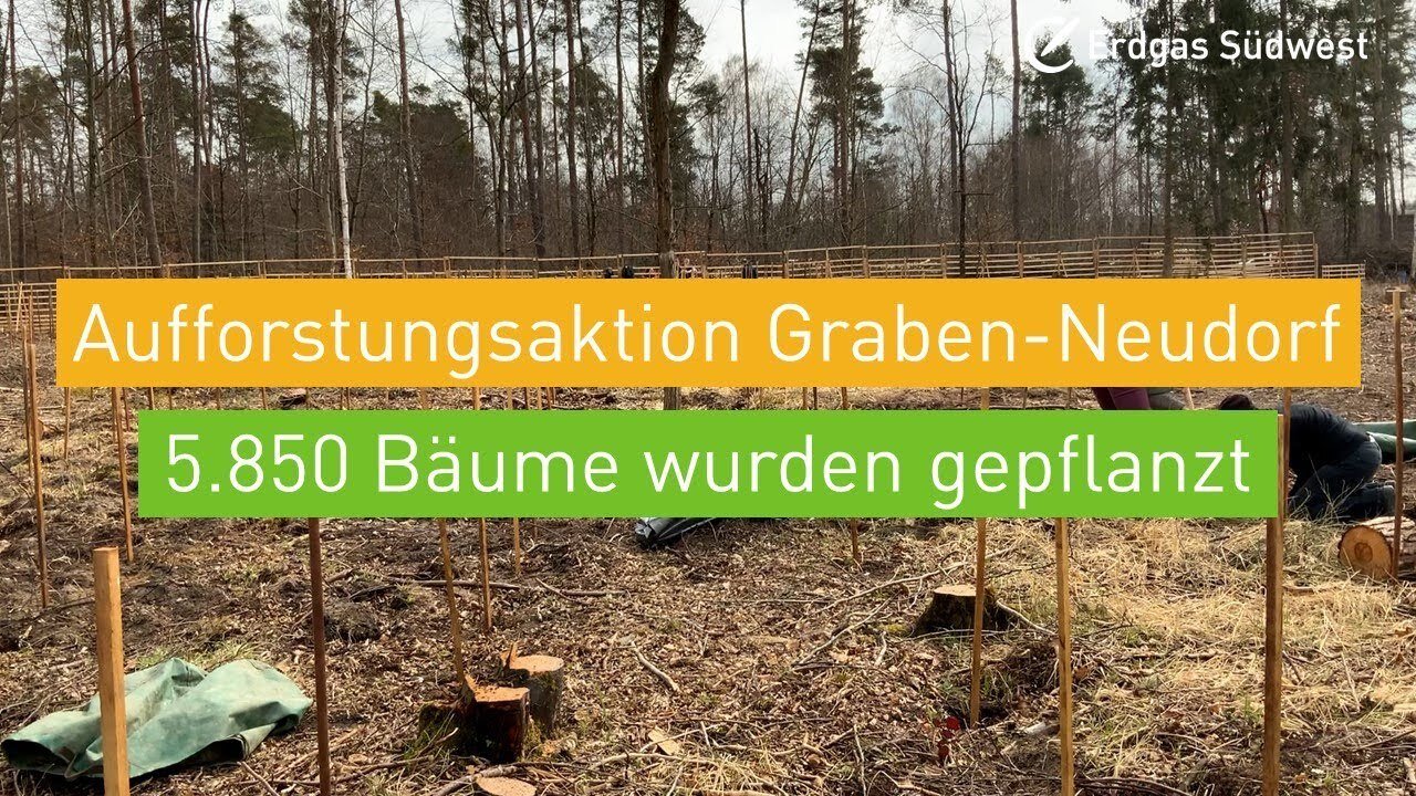 Vorschaubild: Aufforstungsfläche in Graben-Neudorf mit Hinweis, dass 5.850 Bäume gepflanzt wurden.