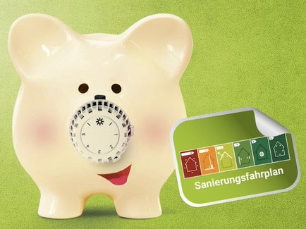 Schweinchen-Bild als Kampagnenmotiv des individuellen Sanierungsfahrplans der Erdgas Südwest GmbH