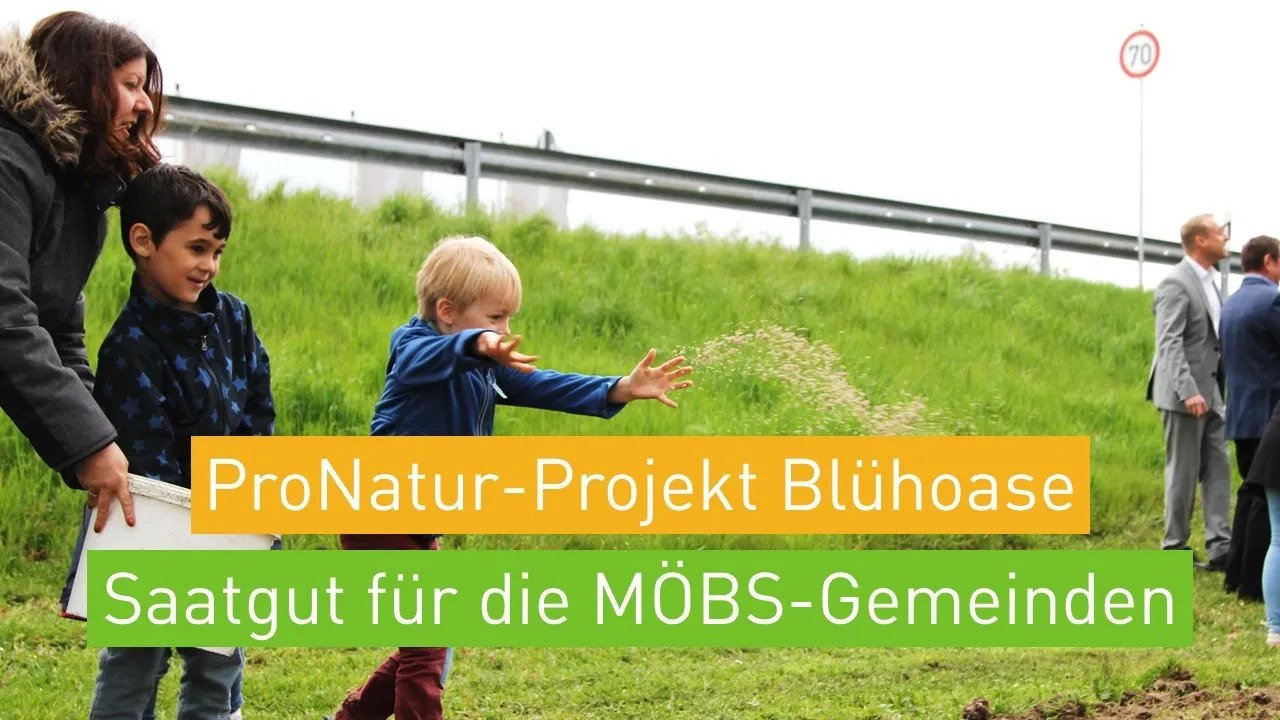 Vorschaubild: Kinder verteilen Saatgut auf einer Wiese mit Hinweis auf das ProNatur-Projekt Blühoase in den MÖBS-Gemeinden.