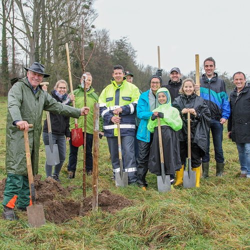 Streuobstpflegetage und Obstbaumsanierung des LOGL e.V bei der Erdgas Südwest