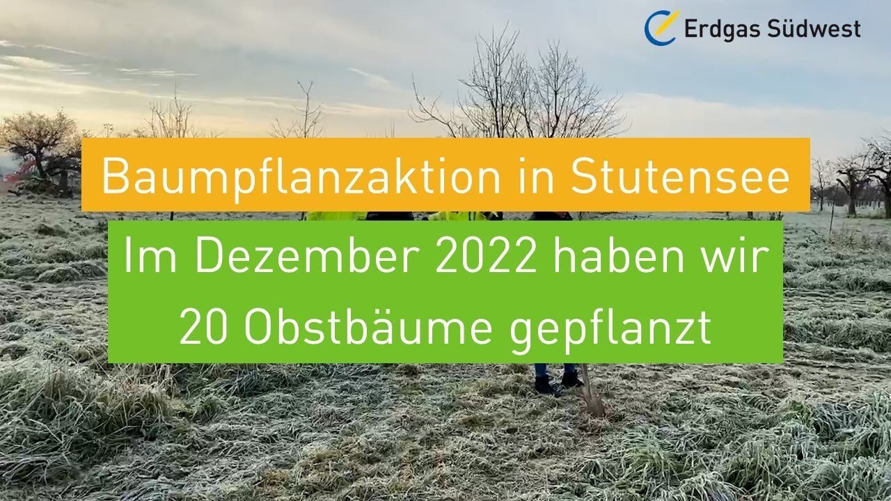 Vorschaubild: Frostige Wiese mit Hinweis auf die Baumpflanzaktion in Stutensee, bei der 20 Obstbäume gepflanzt wurden.