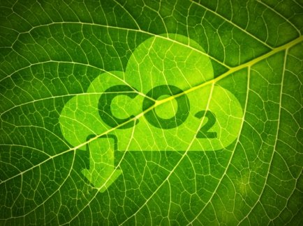 Ein grünes Blatt mit einer aufgedruckten Wolke und "CO2", aus der ein Pfeil nach unten zeigt, als Symbol für Klimaneutralität.