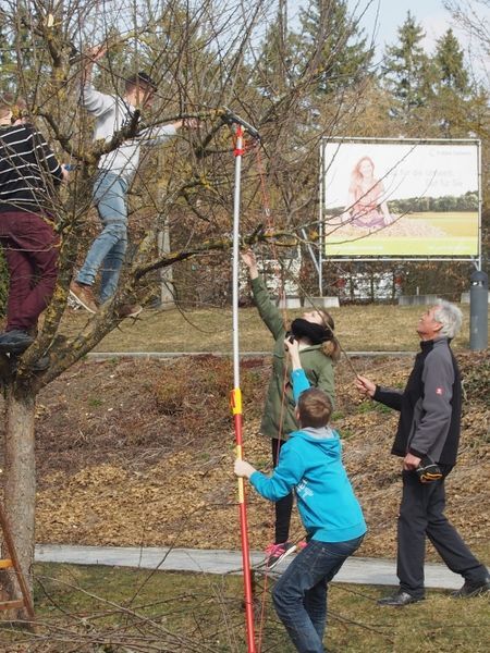 Bild von einer Baumschneideaktion