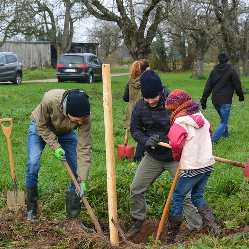 Fotos der Baumfplanzaktion der Erdgas Südwest