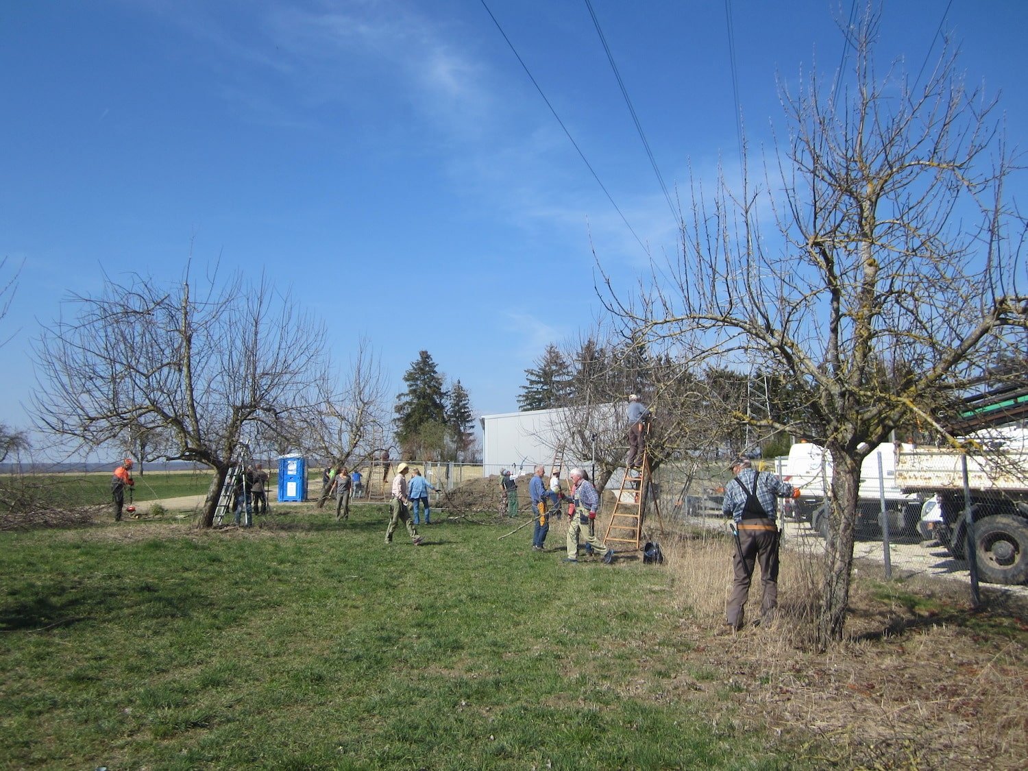 Streuobstpflegetage und Obstbaumsanierung des LOGL e.V bei der Erdgas Südwest 2019