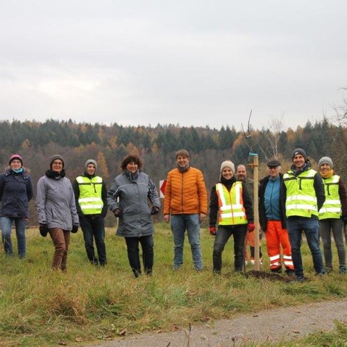 Fotos der Baumfplanzaktion der Erdgas Südwest