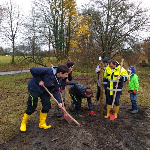 Fotos der Baumfplanzaktion der Erdgas Südwest