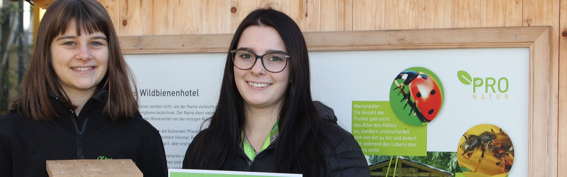 Portrait Nistkästen gestalten: Zwei FÖjler im Wlad mit Nistkästen