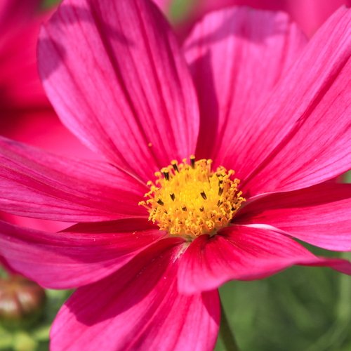 Schmuckkörbchen in Nahaufnahme