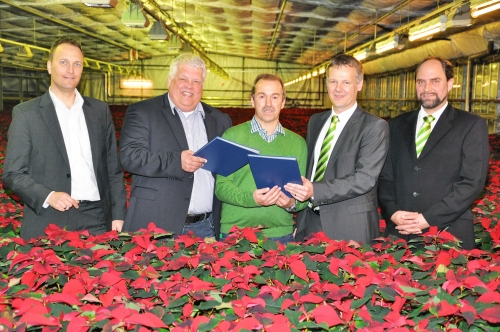 Gruppenbild mit Begonien Blumen