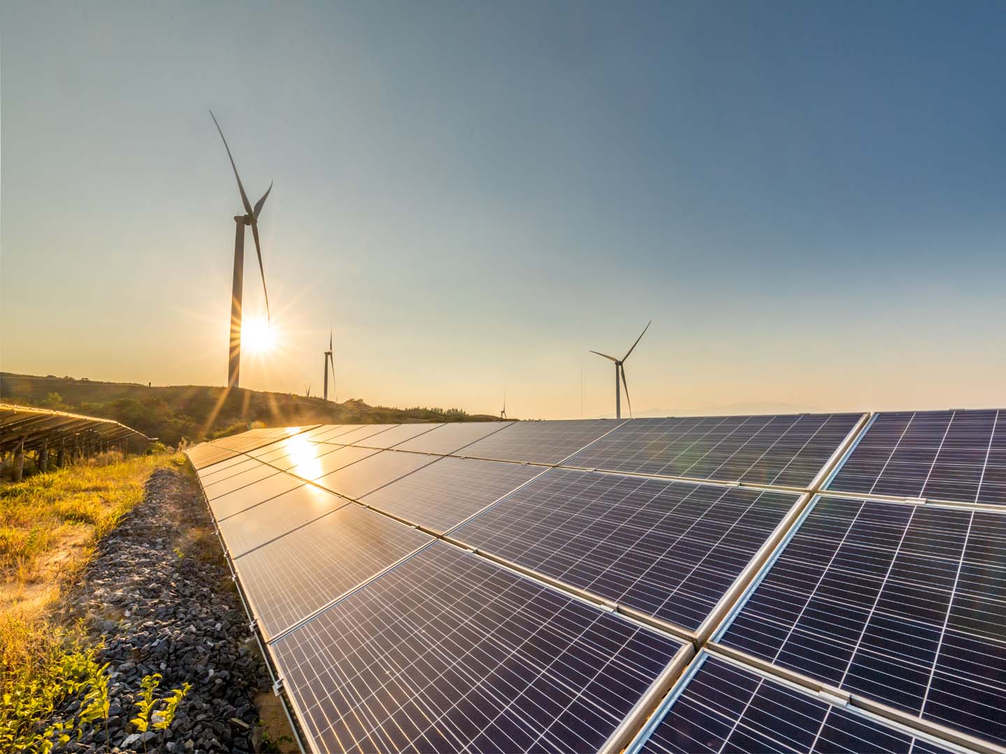 PV-Module vor Windrädern