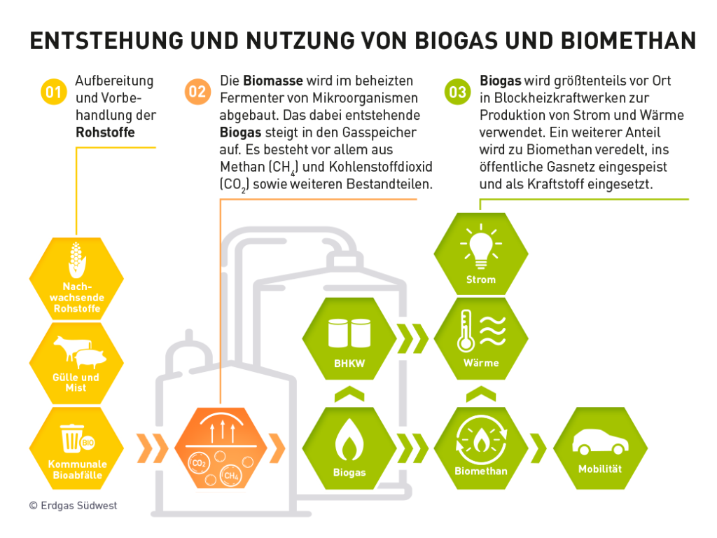 Infografik: Herstellung von Biogas