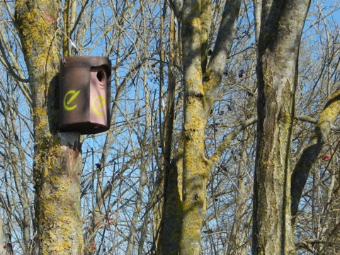 Nistkasten der Erdgas Südwest am Baum