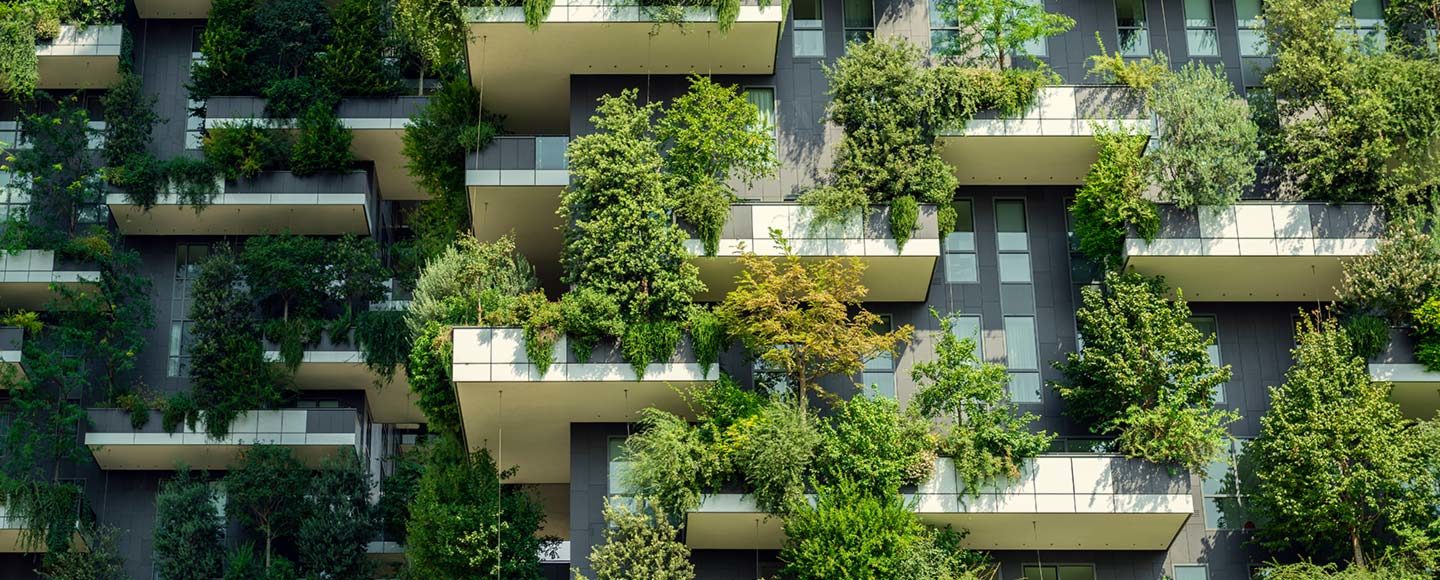 Begrünte Fassade klimaschonendes Gebäude