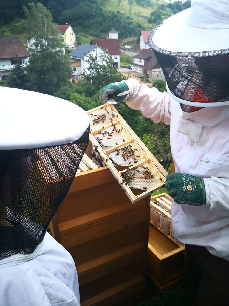 Imker der Erdgas Südwest vor Bienenstock