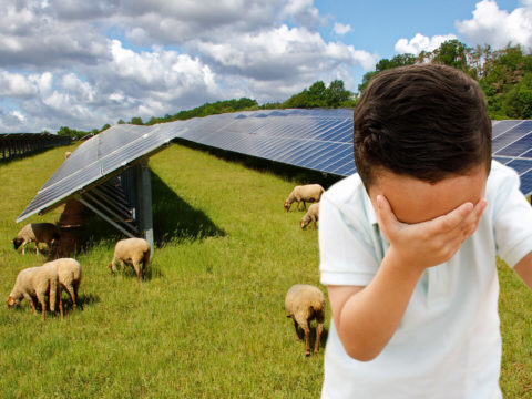 Junge mit Facepalm vor Solaranlage