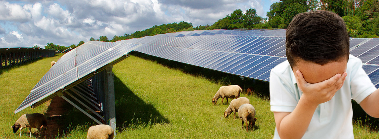 Junge mit Facepalm vor Solaranlage