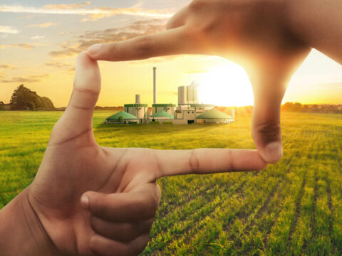 Biogas im Fokus bei bmp Energiekonzepte