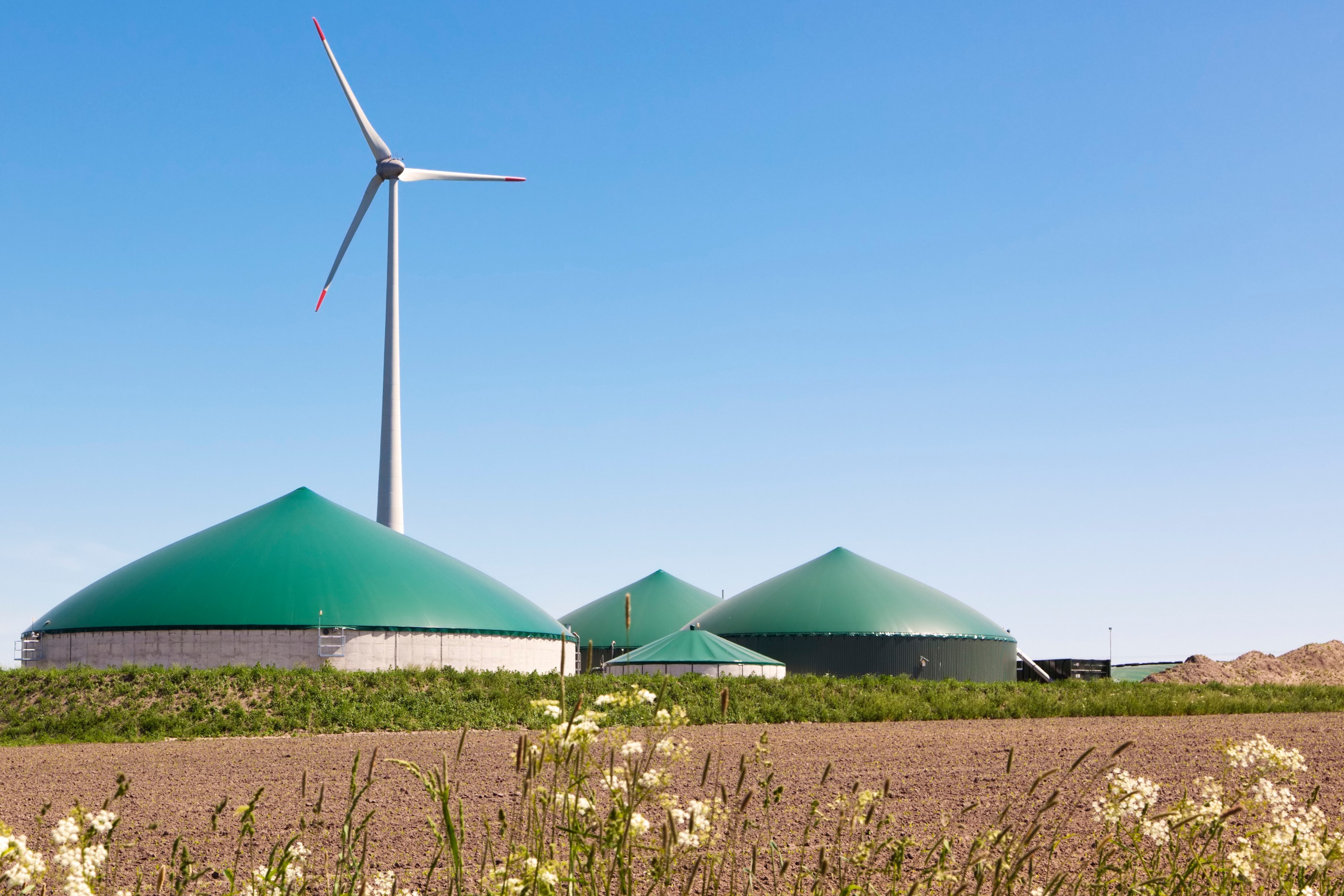 Jetzt Biogas-Tarif abschließen