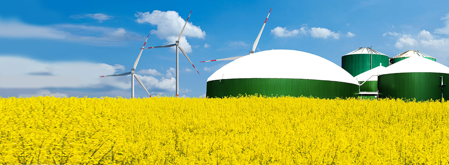 Biogasanlage auf einem Rapsfeld mit Windrädern