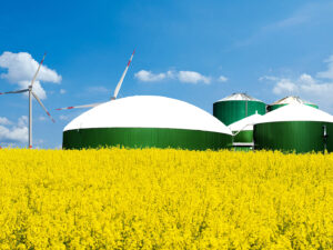 Biogasanlage auf einem Rapsfeld mit Windrädern