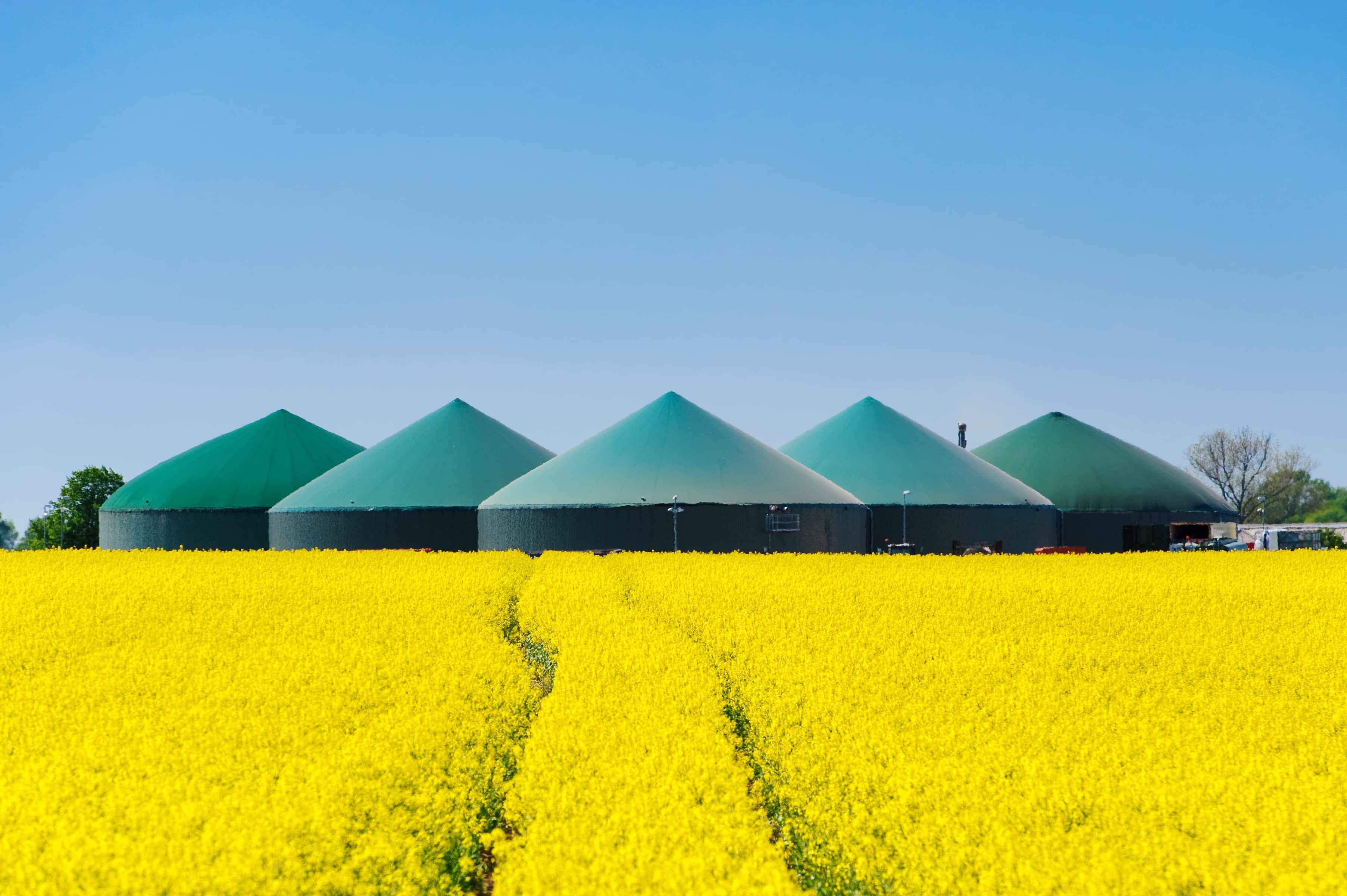 Banner für Biogas 65 Tarif